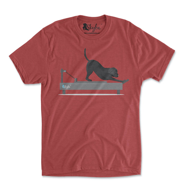 Black Lab on Reformer - Tri Blend Tee Skyba Tri-Blend Tee