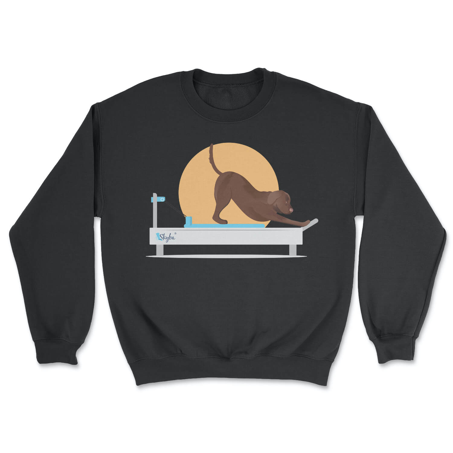 Chocolate Lab on Reformer - Cozy Crewneck Sweatshirt Skyba Sweatshirt