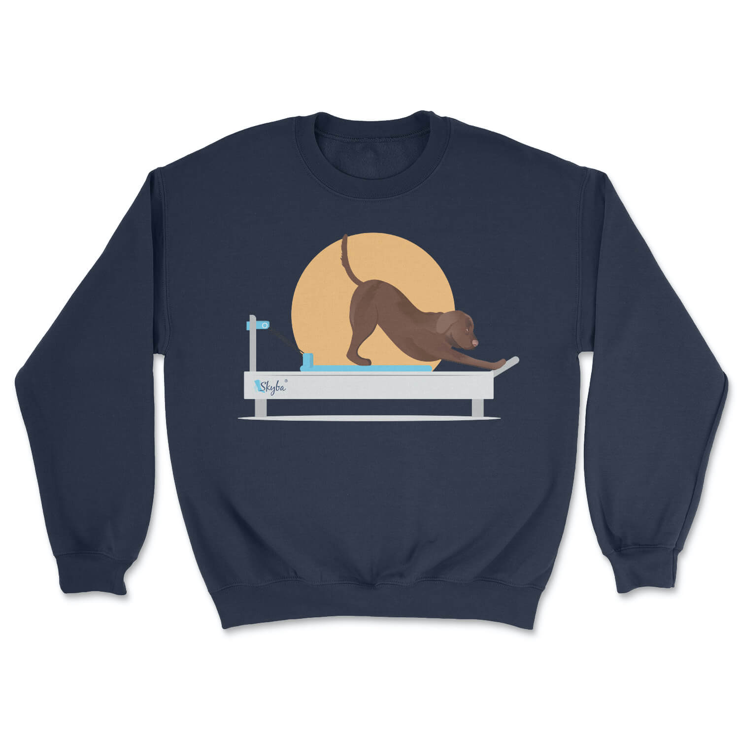 Chocolate Lab on Reformer - Cozy Crewneck Sweatshirt Skyba Sweatshirt