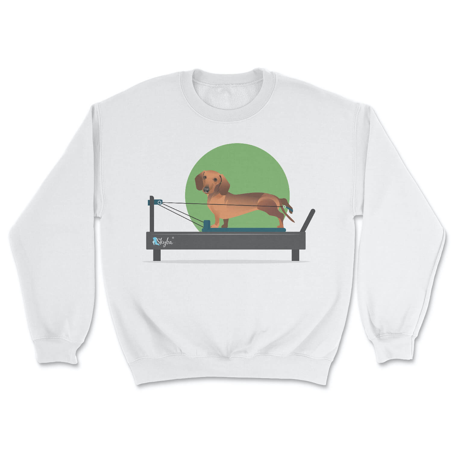 Dachshund on Reformer - Cozy Crewneck Sweatshirt Skyba Sweatshirt