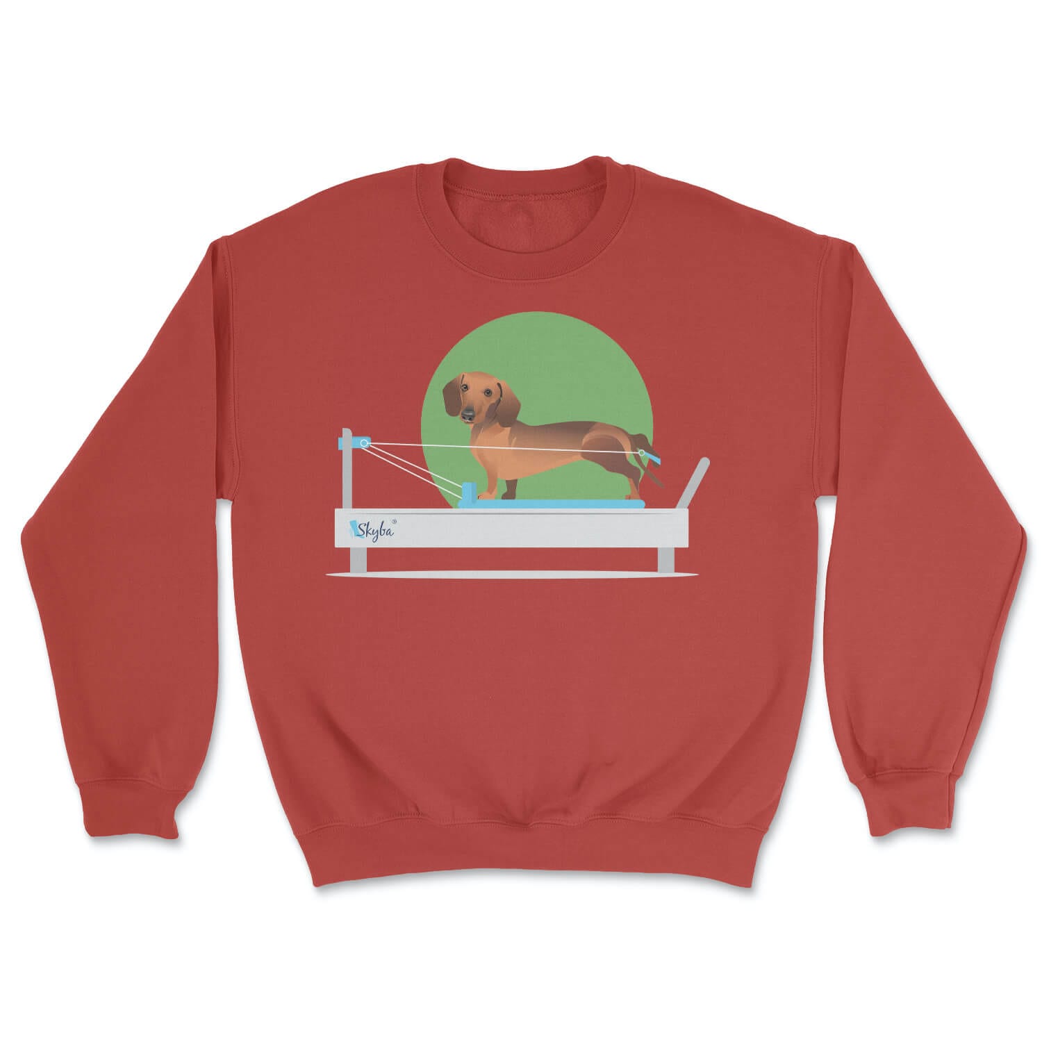 Dachshund on Reformer - Cozy Crewneck Sweatshirt Skyba Sweatshirt