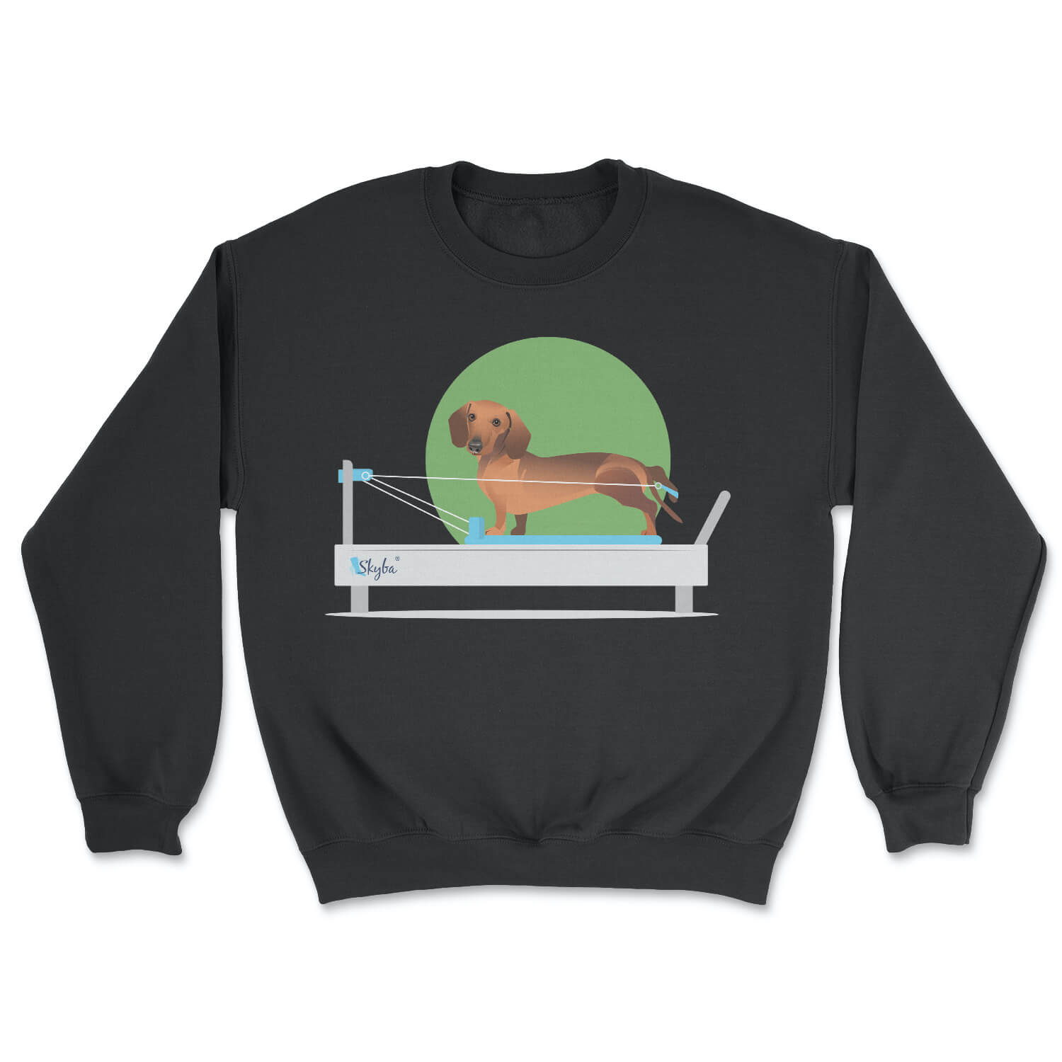 Dachshund on Reformer - Cozy Crewneck Sweatshirt Skyba Sweatshirt