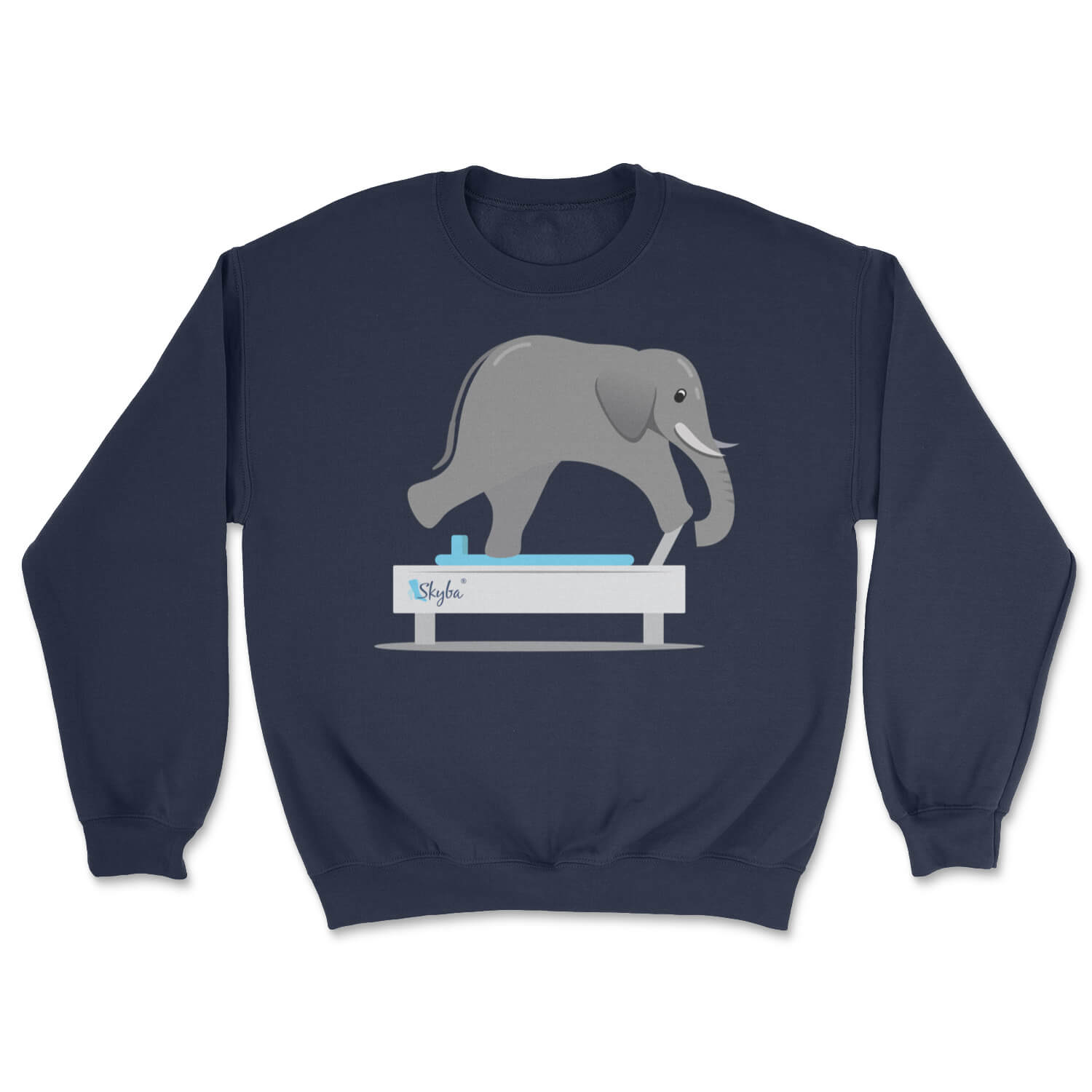 Elephant on Reformer - Cozy Crewneck Sweatshirt Skyba Sweatshirt