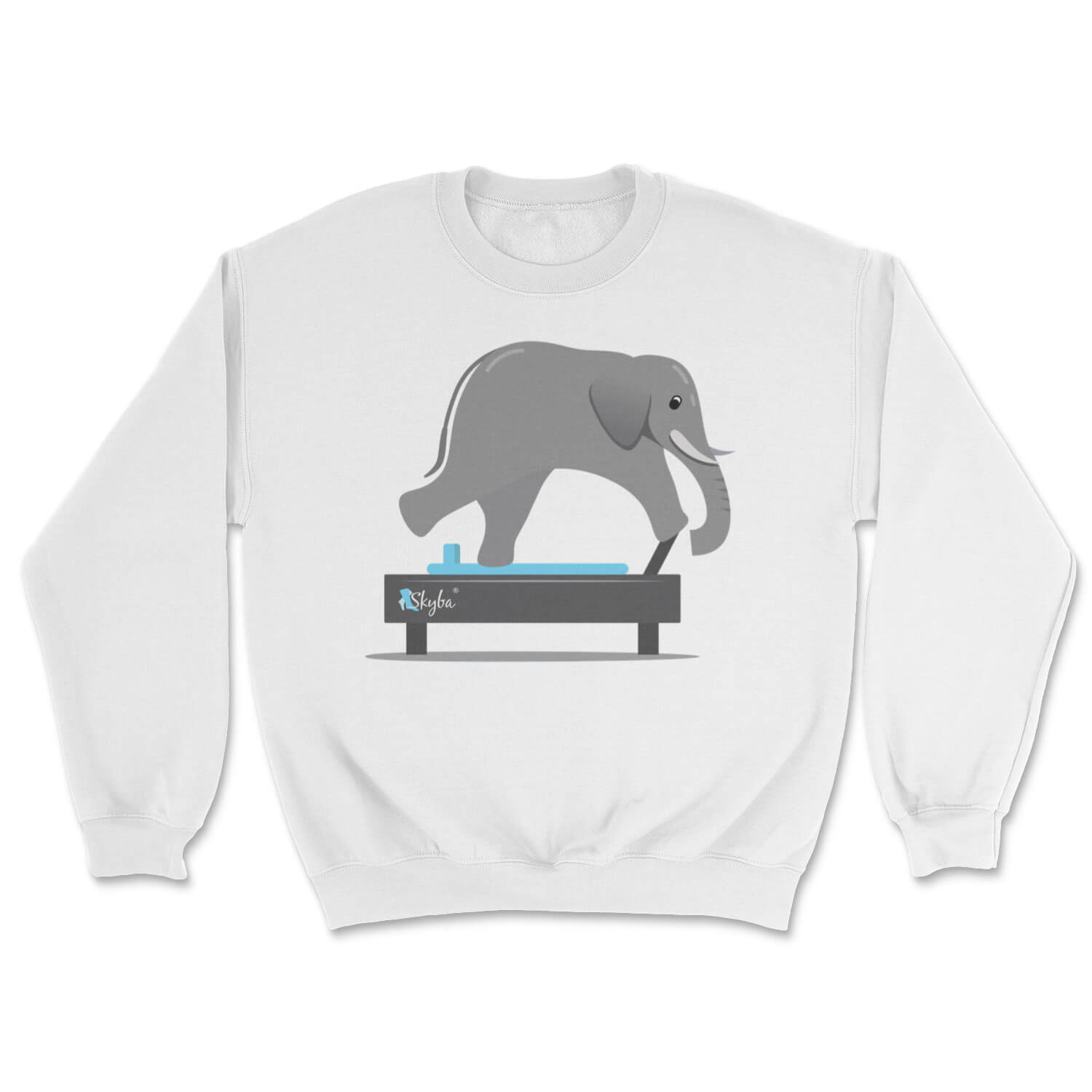 Elephant on Reformer - Cozy Crewneck Sweatshirt Skyba Sweatshirt