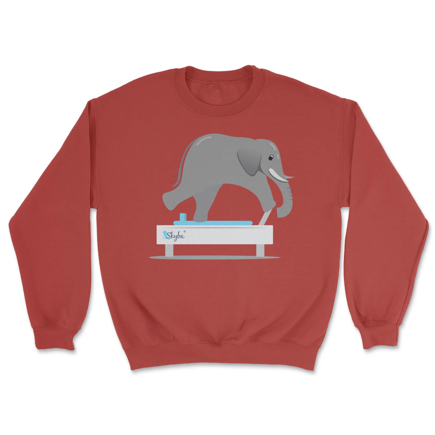 Elephant on Reformer - Cozy Crewneck Sweatshirt Skyba Sweatshirt