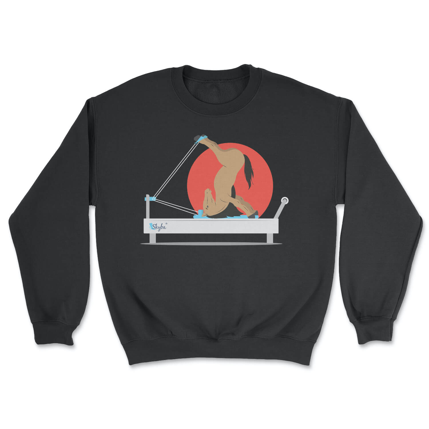 Flexible Horse on Reformer - Cozy Crewneck Sweatshirt Skyba Sweatshirt