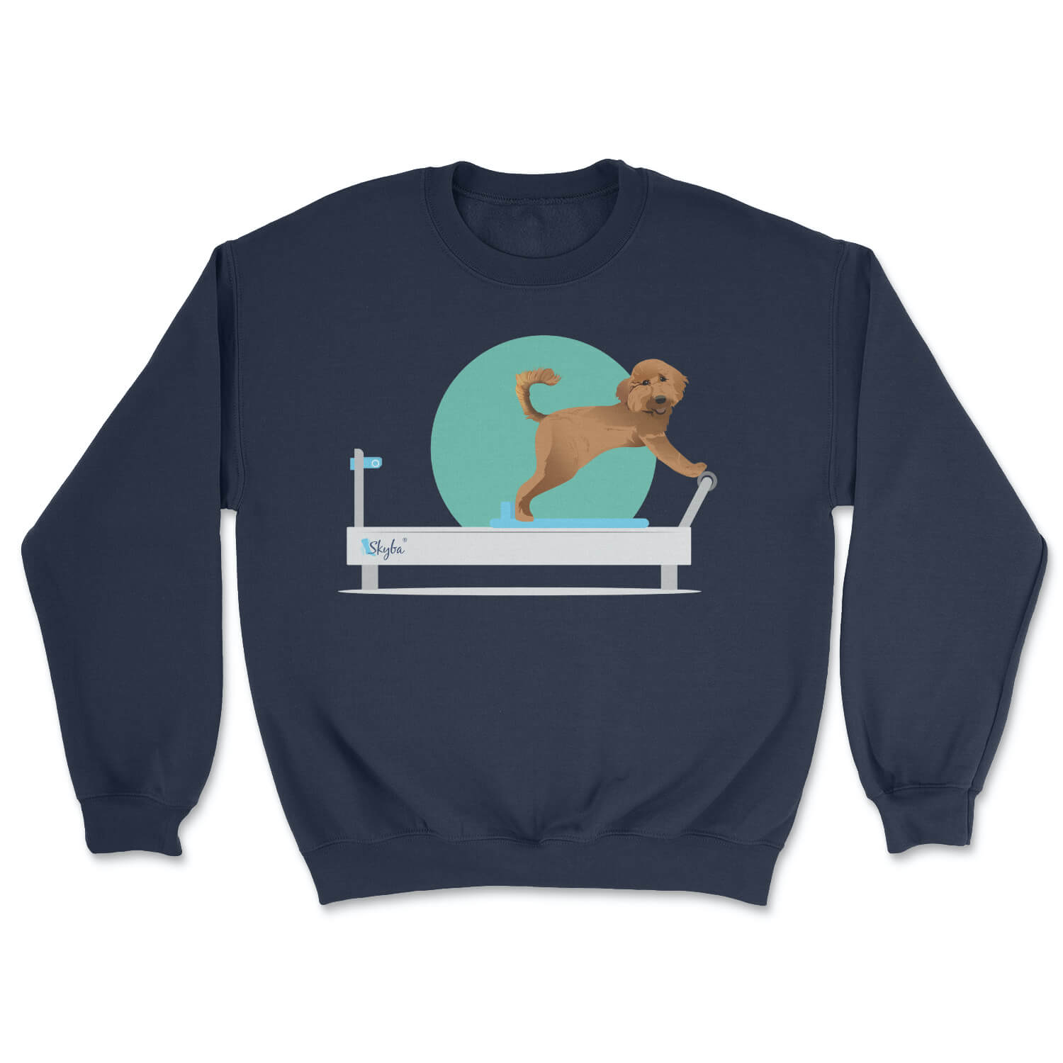 Goldendoodle on Reformer - Cozy Crewneck Sweatshirt Skyba Sweatshirt