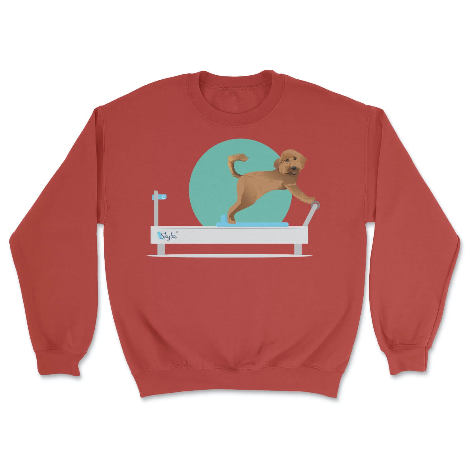 Goldendoodle on Reformer - Cozy Crewneck Sweatshirt Skyba Sweatshirt