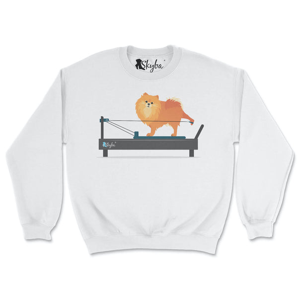 Pomeranian on Reformer - Cozy Crewneck Sweatshirt Skyba Sweatshirt