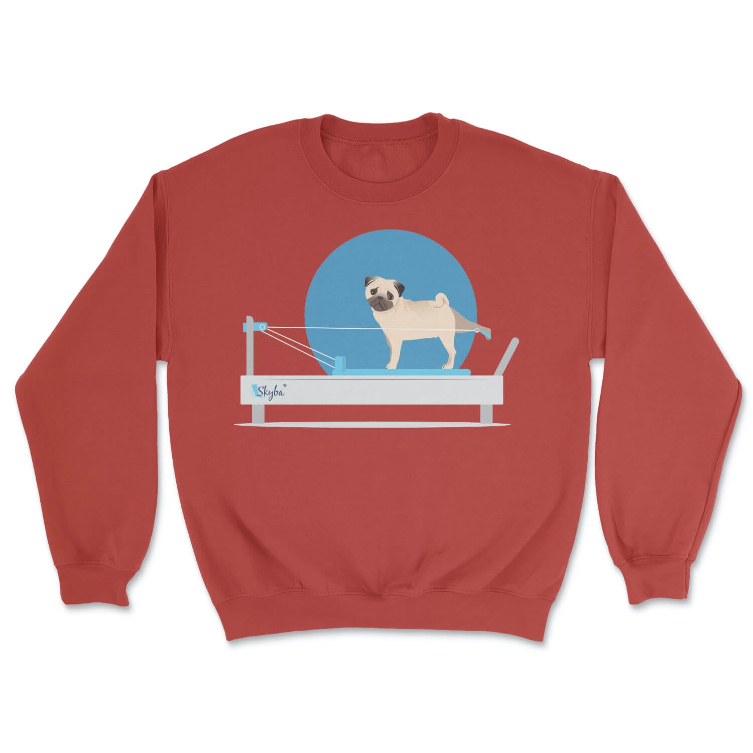 Pug on the Reformer - Cozy Crewneck Sweatshirt Skyba Sweatshirt
