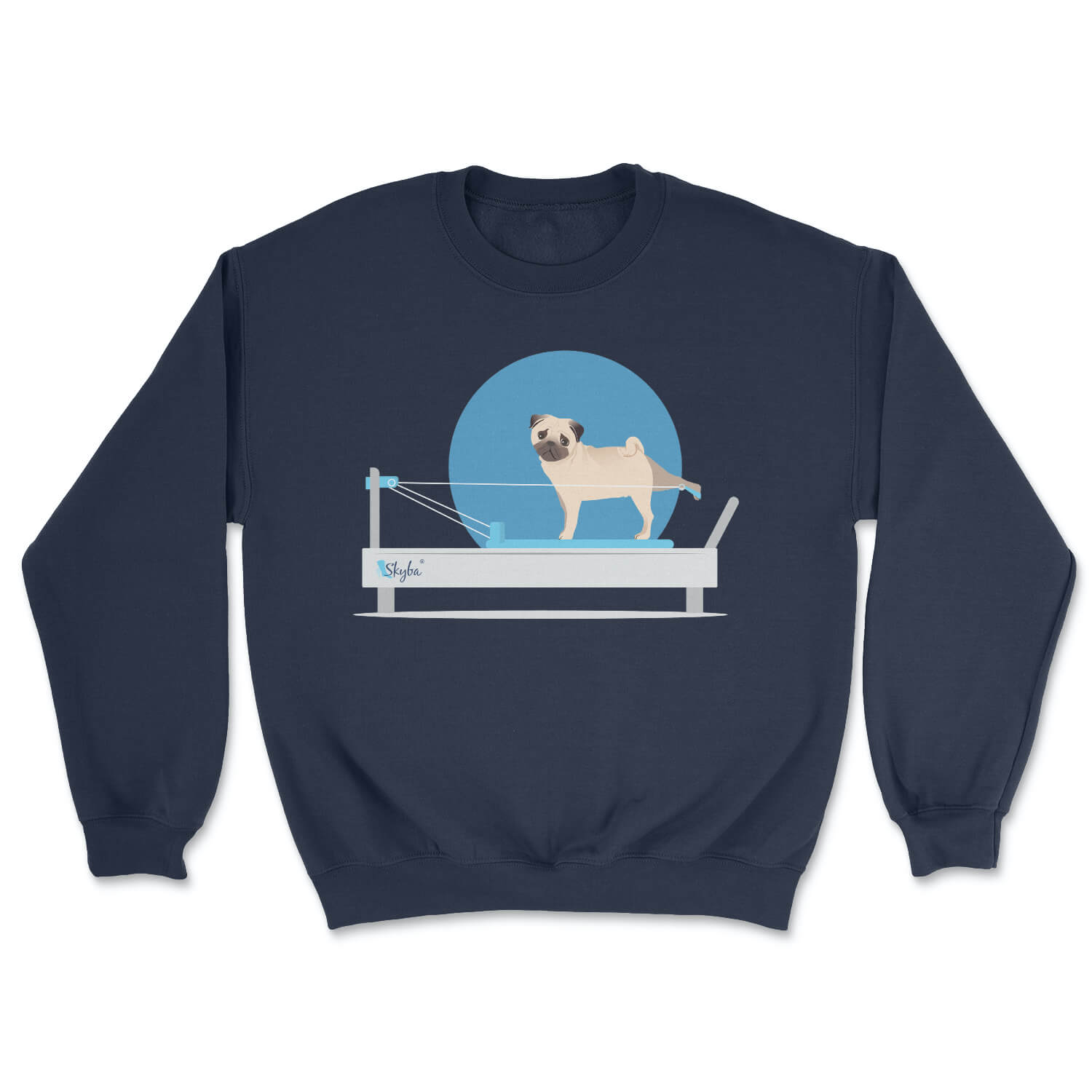 Pug on the Reformer - Cozy Crewneck Sweatshirt Skyba Sweatshirt