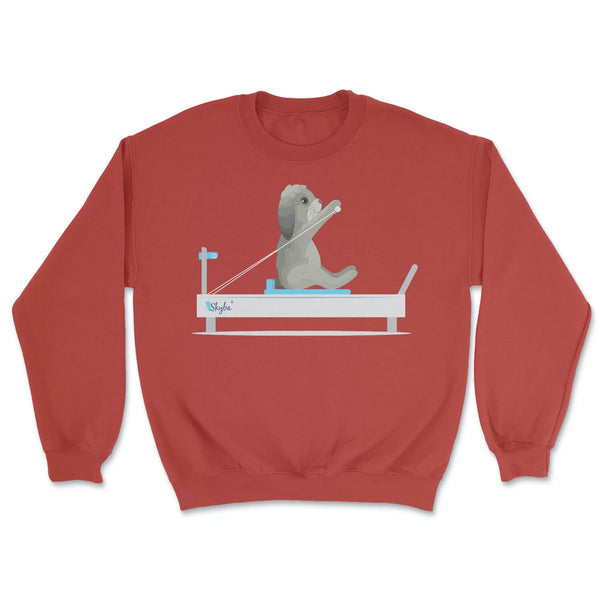 Rabbit on the Reformer - Cozy Crewneck Sweatshirt Skyba Sweatshirt