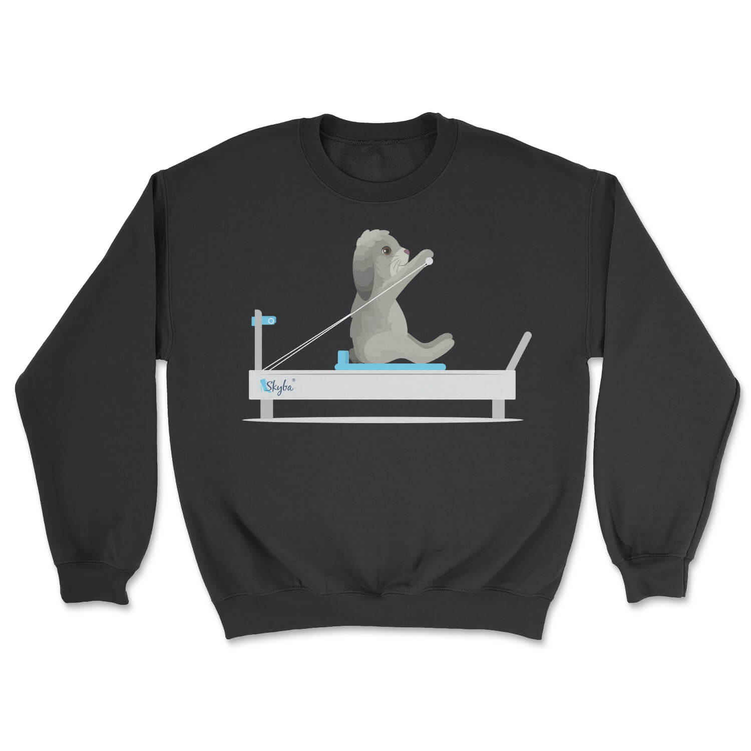 Rabbit on the Reformer - Cozy Crewneck Sweatshirt Skyba Sweatshirt