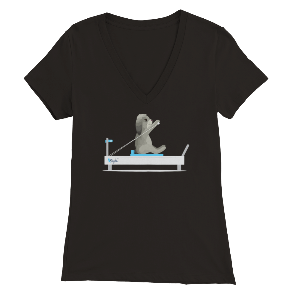 Rabbit on the Reformer - Women's V-Neck Tee Skyba Print Material