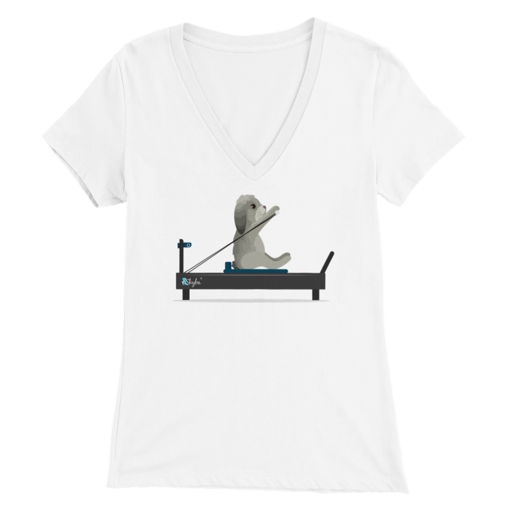 Rabbit on the Reformer - Women's V-Neck Tee Skyba Print Material