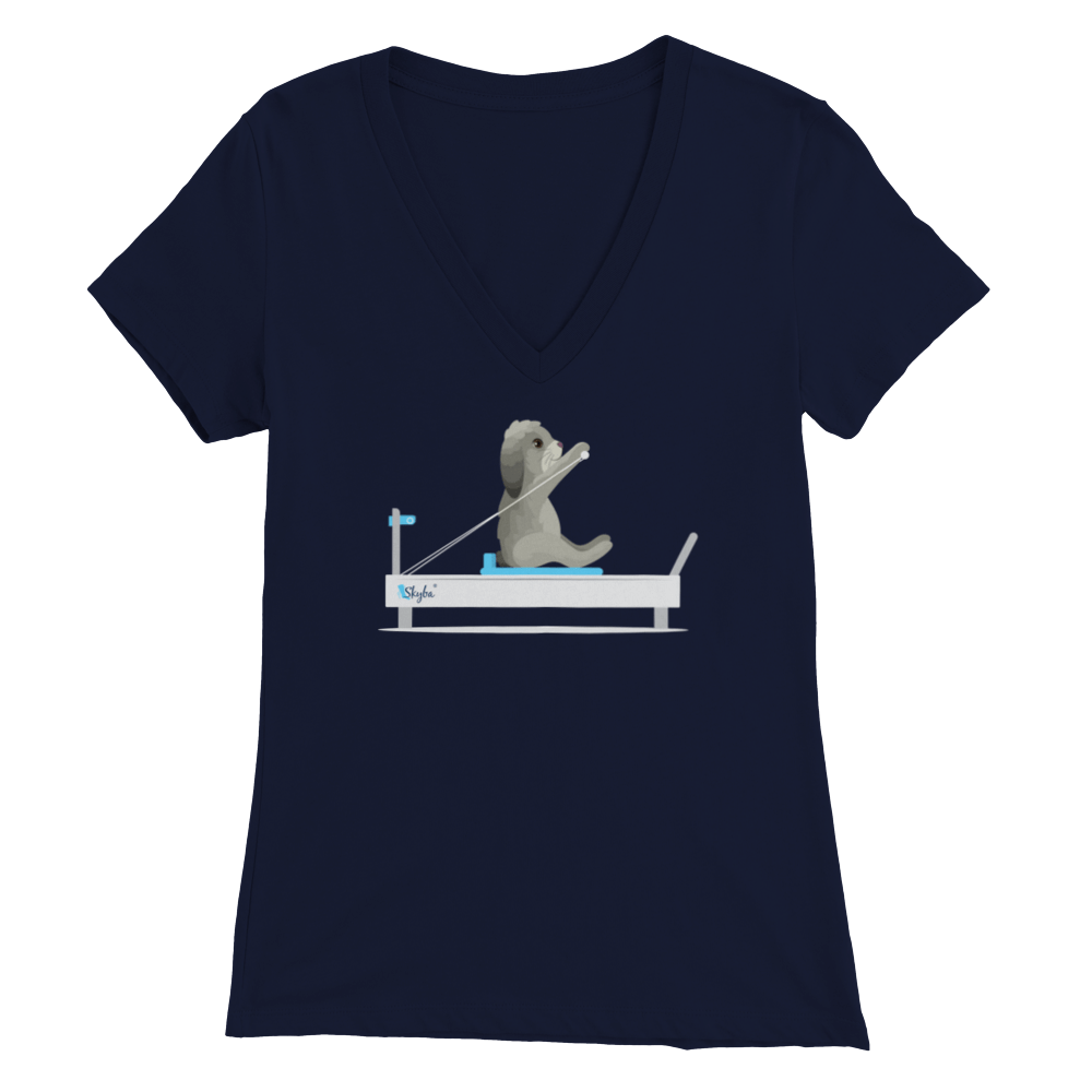 Rabbit on the Reformer - Women's V-Neck Tee Skyba Print Material